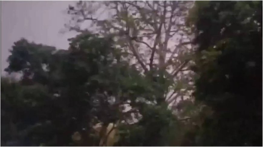 Dust is in the air: Strong storm in Delhi-NCR brings temperature down, flights diverted