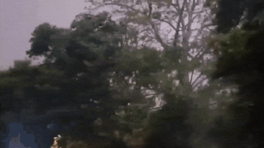 Dust is in the air: Strong storm in Delhi-NCR, 4 injured; flights diverted