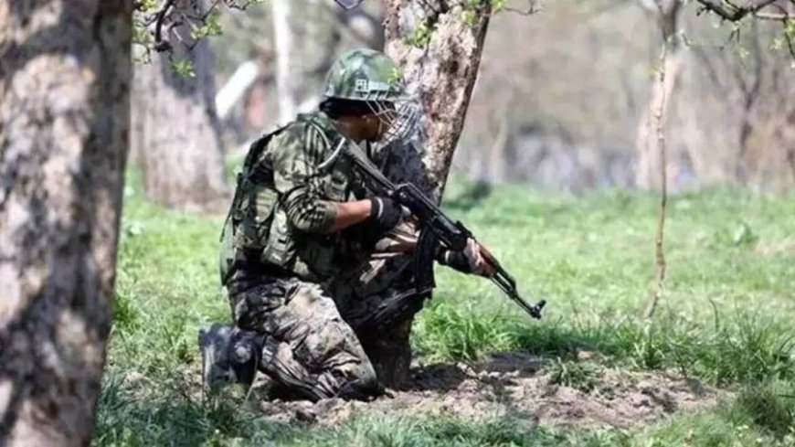 Pakistan violates ceasefire along LoC, Army JCO killed during encounter with terrorists