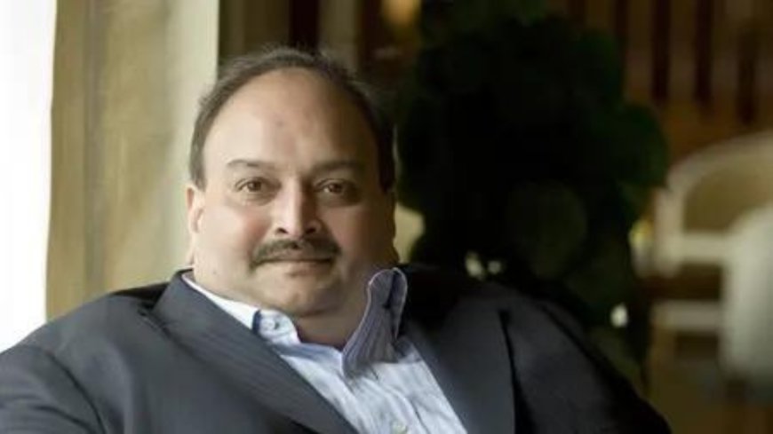When fugitive businessman Mehul Choksi was honeytrapped and kidnapped from Caribbean island
