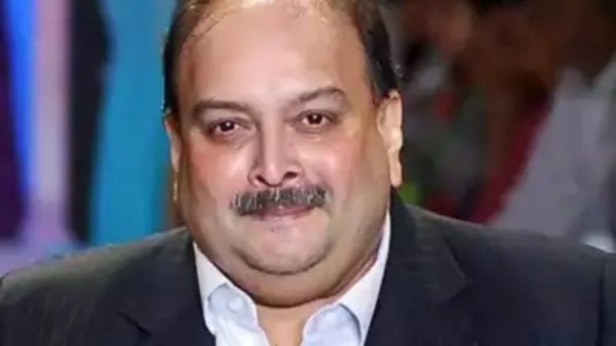 'Working closely with Belgium on Mehul Choksi's extradition,' says MEA