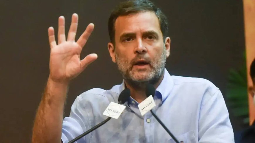 HC gives Centre 2 weeks to file reply in Rahul citizenship case