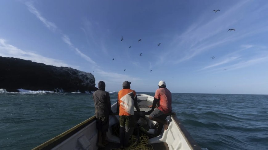 5th Marine Fisheries Census initiated, actual enumeration to be held in Nov-Dec covering 3,500 coastal villages