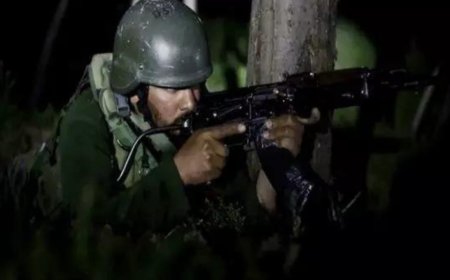 Unprovoked firing by Pakistan continues for seventh straight day; India retaliates