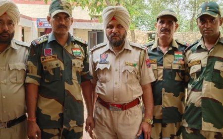 Terror plot foiled near India-Pakistan border in Amritsar, huge cache of arms recovered