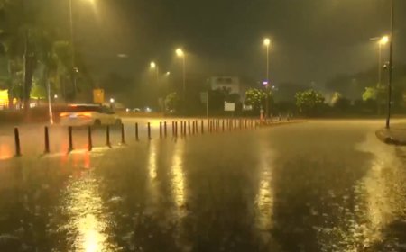 Dust storm, heavy rain lash Delhi-NCR, several flights delay at IGI airport
