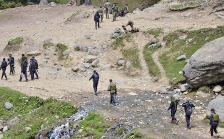 'US stands strong with India, PM Modi has our full support': US on Pahalgam attack