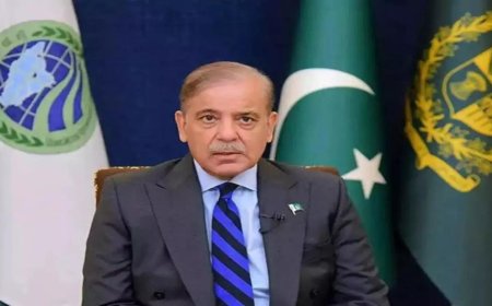 Pahalgam fallout: India blocks Pakistan PM Shehbaz Sharif's YouTube channel amid tensions