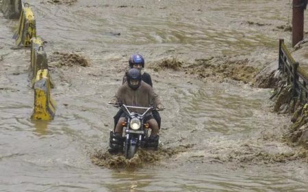Delhi records second-highest May rainfall since 1901