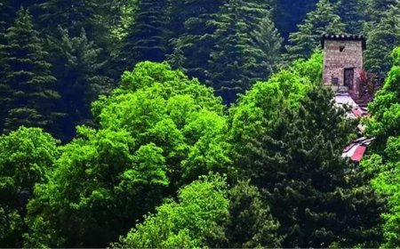 Pahalgam fallout: Fearing India hit, Pakistan empties out terror launch pads off LoC