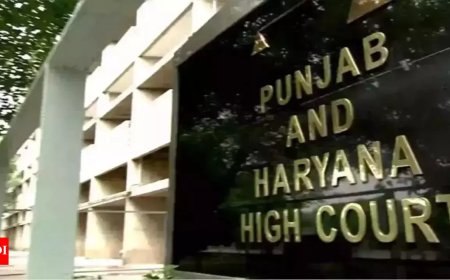 Punjab-Haryana water row: Plea before HC seeks Punjab police exit from Bhakra headworks