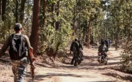 'Detrimental to national security': CRPF jawan dismissed for hiding marriage to Pakistani woman