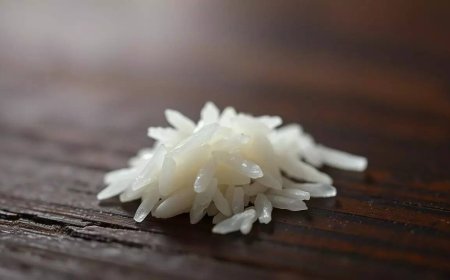 India’s first genome-edited climate-resilient rice varieties developed to boost yields and conserve water