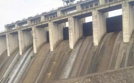 Punjab skips meet to discuss Haryana water share