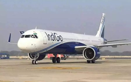 Drunk passenger detained for molesting air hostess on Shirdi-bound Indigo flight