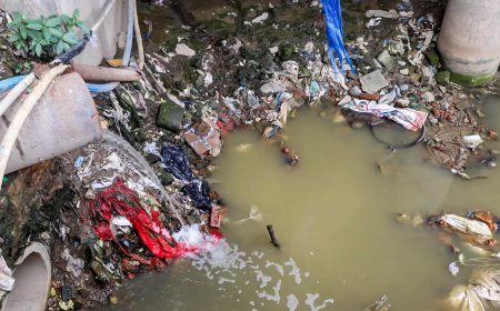 Deadline looming, MCD met just 21% of desilting target by end of April