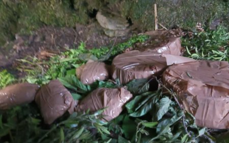 Army busts terror hideout in J&K's Poonch; IEDs, wireless sets, clothes recovered