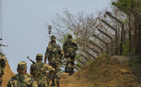 BSF to add 16 new battalions, two forward headquarters for Pakistan, Bangladesh borders