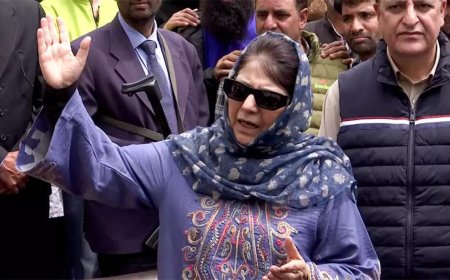 '3000 arrests, 100 PSA detentions': PDP chief Mehbooba Mufti questions security agencies' response in Pahalgam attack aftermath
