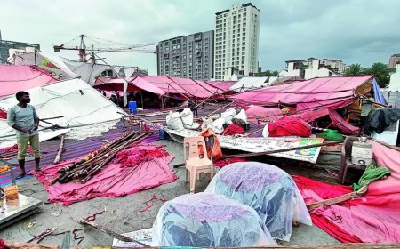 17 killed in rain-related mishaps across Gujarat, several injured