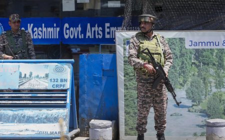 ‘Where would I take my grandchildren?’