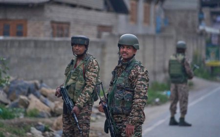 Hostility level still low, Pakistan may not hit N-button yet: Experts