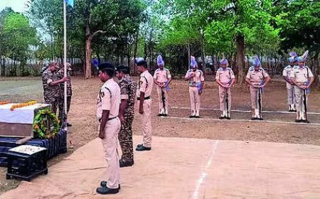 In raid on Red fort, Belgian Malinois dies of bee attack