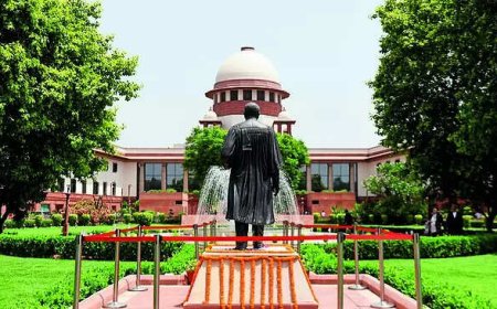 Supreme Court irked by repeated PILs to stop Rohingya deportation