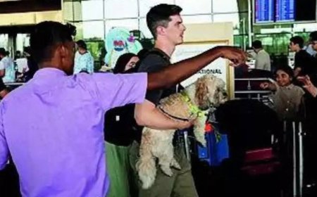 No chaos at major airports as other ground handlers step in