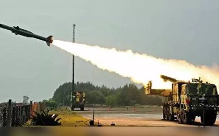 Operation Sindoor: Over 600 Pakistan drones killed by Army air defence units