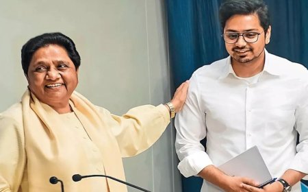 Akash Anand made BSP's chief national coordinator month after return to party