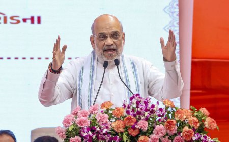 Paksitan's China-borrowed air def system remained unused: Amit Shah