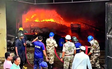 Factory owner, 87, toddler grandson among 8 killed in Maha factory blaze