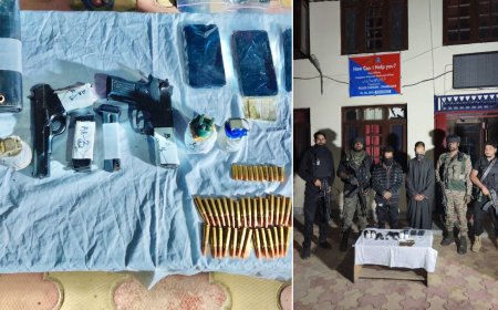 Two terrorist associates arrested in J&K's Shopian; pistols, grenades recovered