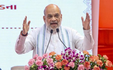 Union home minister Amit Shah launches revamped Overseas Citizen of India portal