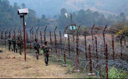 5 quizzed over disappearance of Nagpur woman near LoC village in Kargil