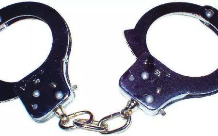 2 held in Punjab, 1 in Haryana on charges of 'spying' for Pakistan