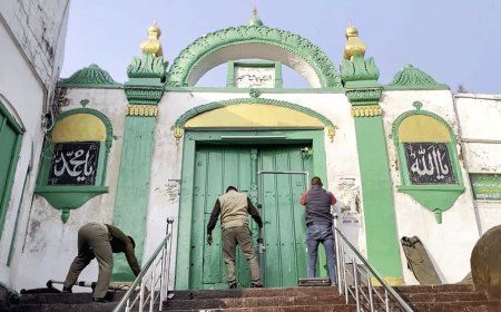 Allahabad high court upholds trial court order, backs Sambhal mosque survey