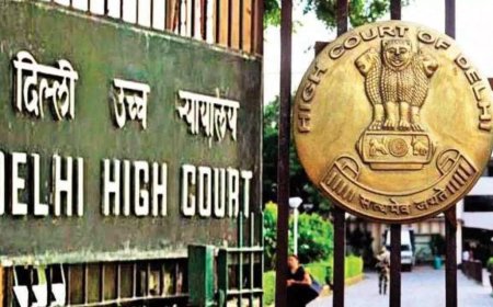 Govt to Delhi high court: Turkish company's security clearance pulled on intel inputs