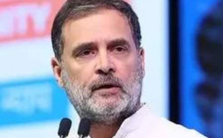 Rahul Gandhi speaking language of Pakistan, daftness is sinister: BJP