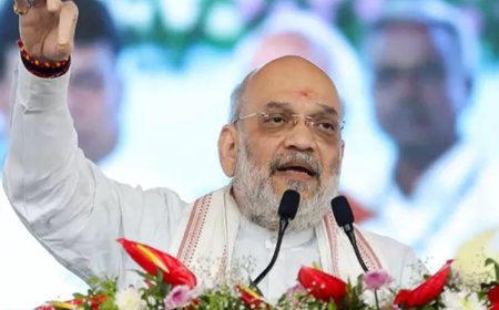 MHA launches e-Zero FIR in Delhi to auto-register cybercrime cases