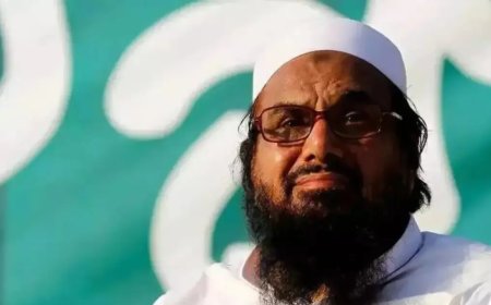 'US did it, why can't Pakistan?': Indian envoy demands Hafiz Saeed's extradition