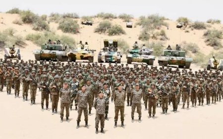 'Their biggest crime was targeting civilians': How Army flattened Pak posts in 10 minutes after aggressive shelling