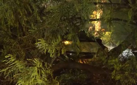 Delhi-NCR sees sudden weather shift with dust storms, thunder and rain after days of heat