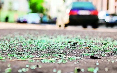 Govt rolls out initiatives to curb road crashes in 100 districts