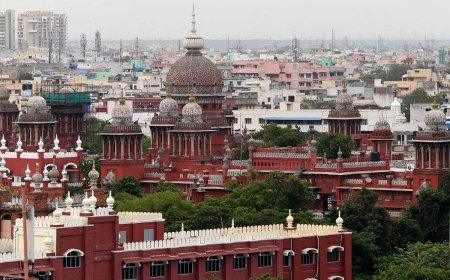 Madras high court stays Tamil Nadu law changes allowing vice-chancellors appointments by CM