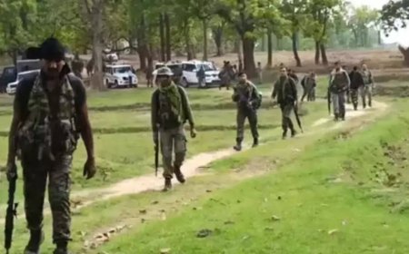 BJP win in Chhattisgarh turned the tide in decisive fight against Naxals