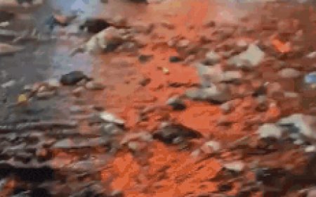 Floating garbage: Rain reduces Mumbai to sea of trash - watch viral video