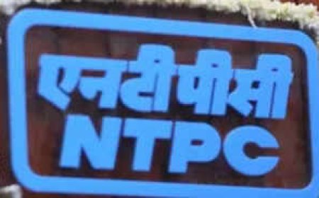 NTPC chief’s selection takes search panel route