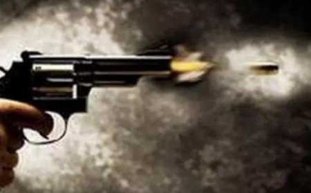 Teen accidentally shoots herself with pal's gun in Maharashtra